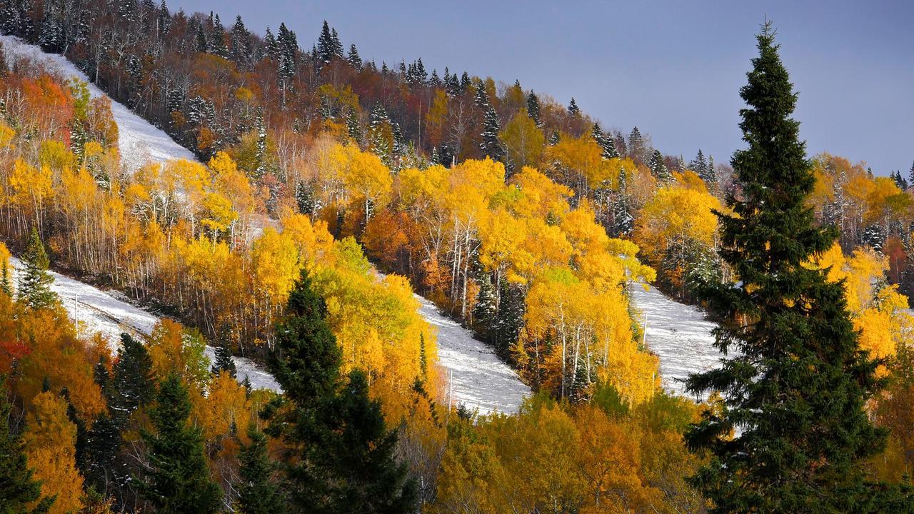 Le Bivouac - Les Chalets Spa Canada Ла-Мальбе Экстерьер фото