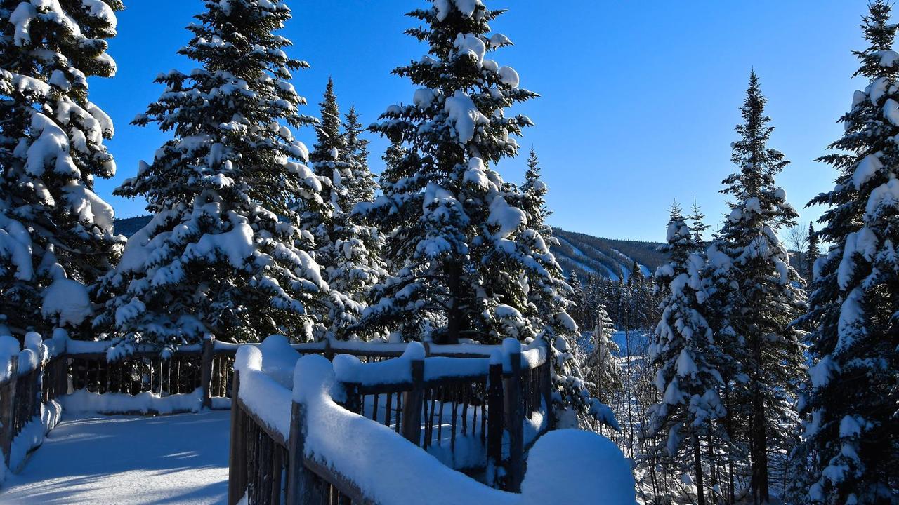 Le Bivouac - Les Chalets Spa Canada Ла-Мальбе Экстерьер фото